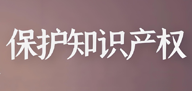 2025年知識(shí)產(chǎn)權(quán)行政保護(hù)工作方案